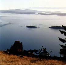 View from the T.V. Tower.